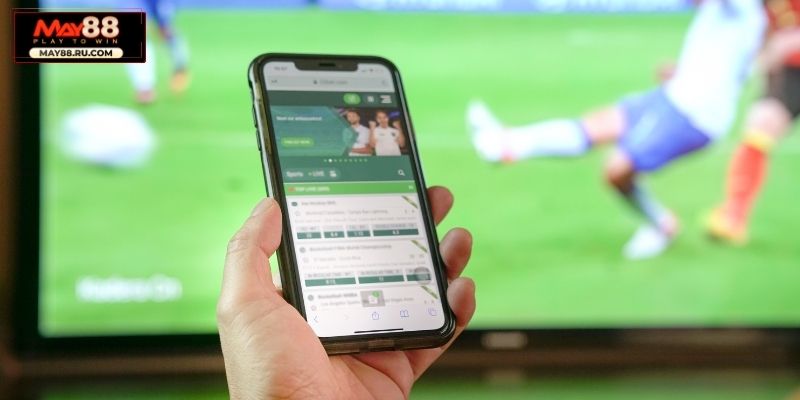 Tổng quan về sảnh cược bóng đá May88